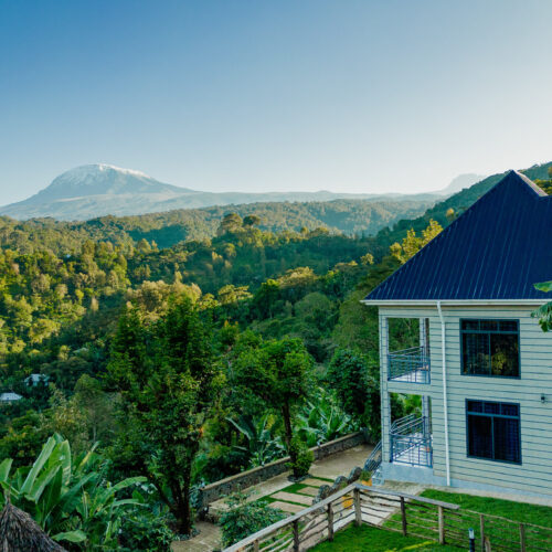 DJI_0131